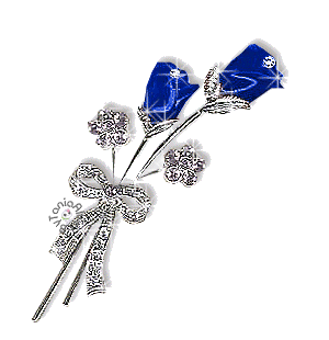 roses bleues
